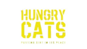 Hungry cats