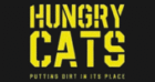 Hungry cats black